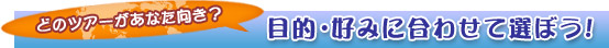 どのツアーがあなた向き？　目的・好みに合わせて選ぼう！